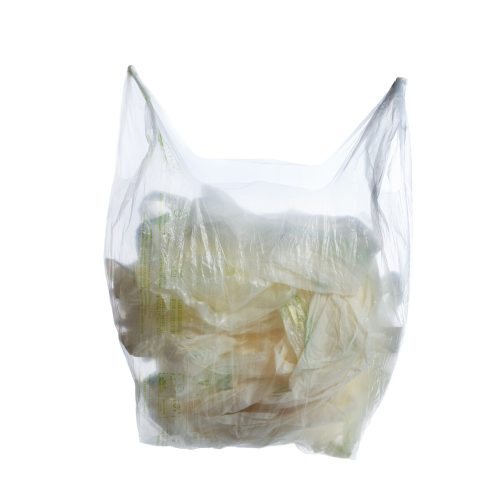 Biodegradable and compostable bags made from oil crops from arid and marginal lands - FIRST2RUN
