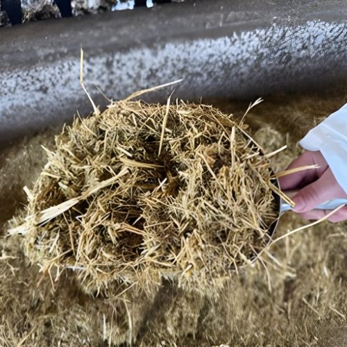 Animal feed made from vegetable oils - BRILLIAN